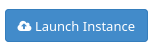 ../_images/launch_instance_launch_instance.png