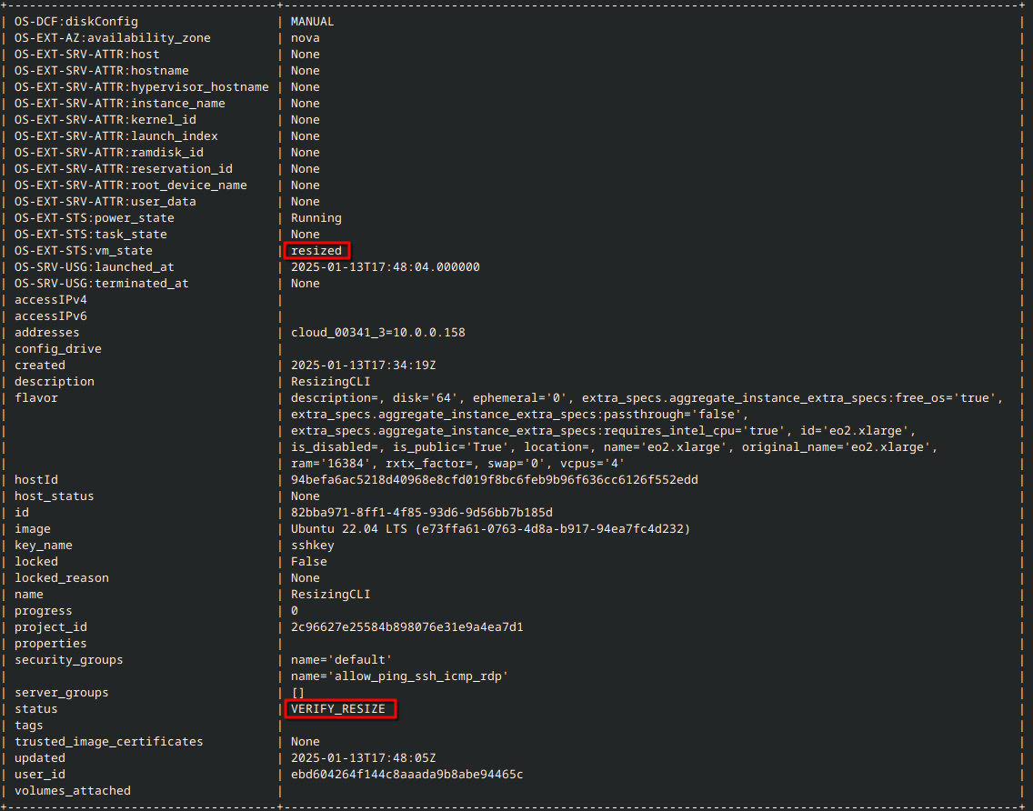 ../_images/resize-vm-horizon-cli-4.png